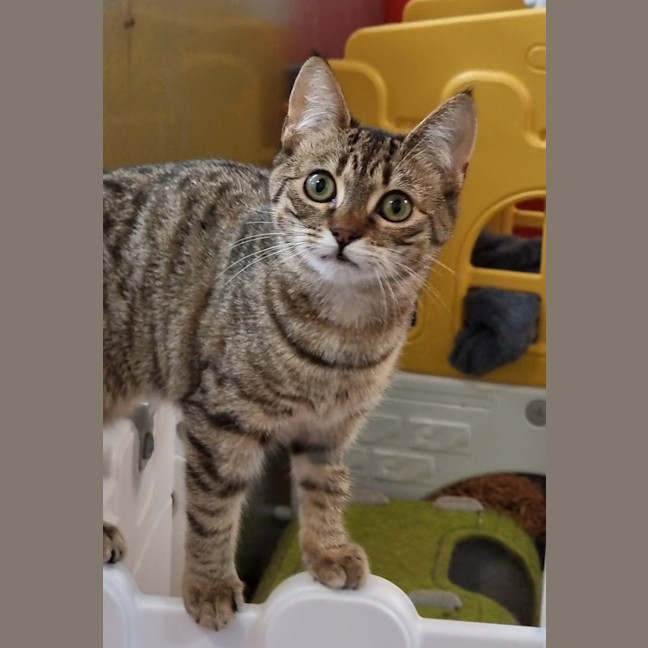 Photo of Susie