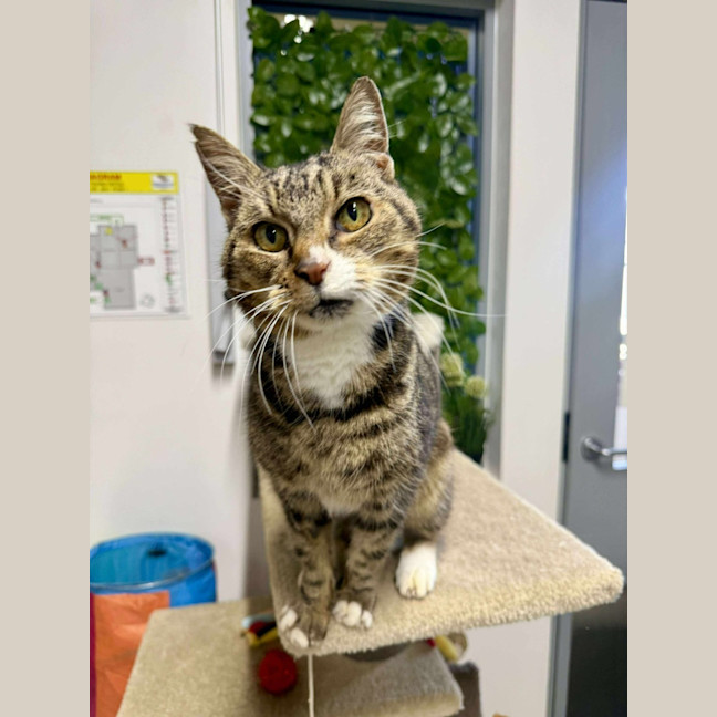 Photo of 🌱 Mochi 6381 🌱