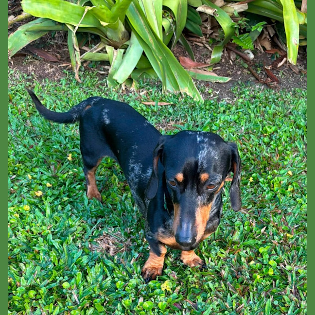 Photo of Hugo