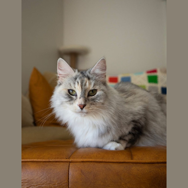 Photo of Marcia