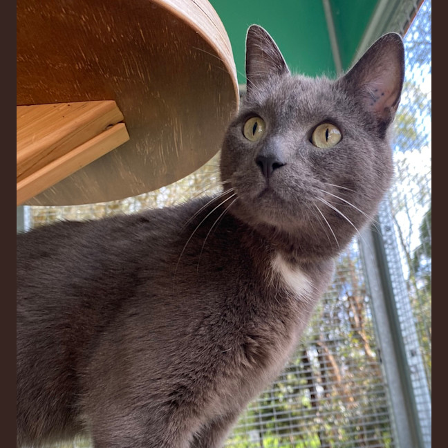 Photo of Nora