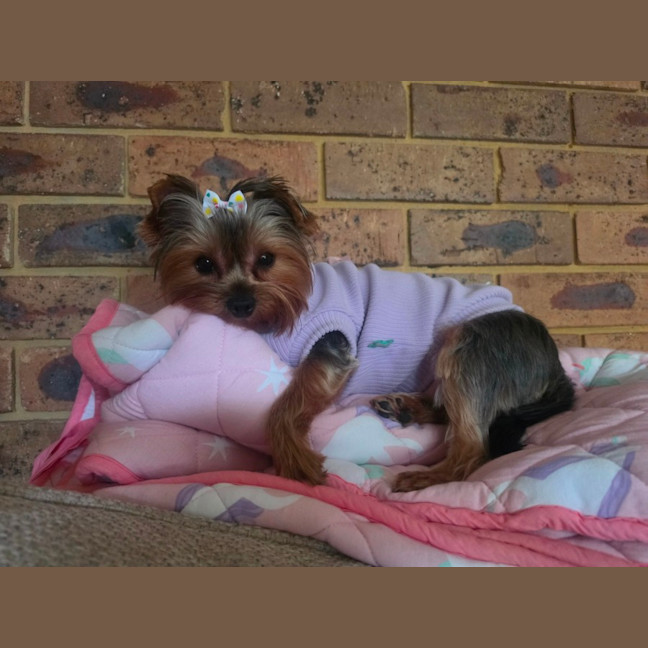 Photo of Molly