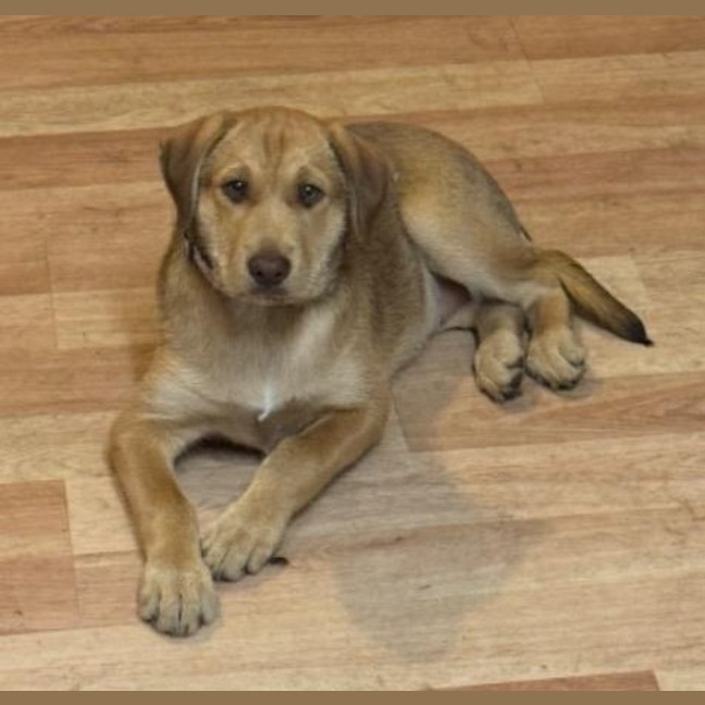 Photo of Lóla