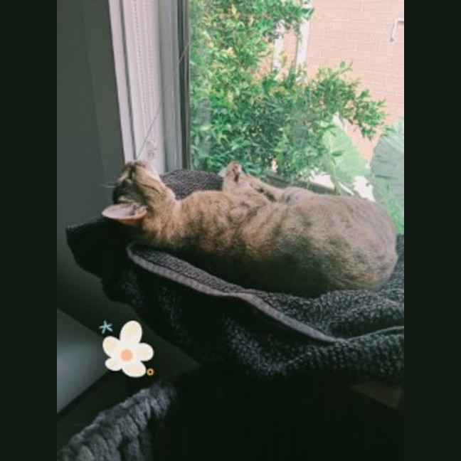 Photo of Dinah