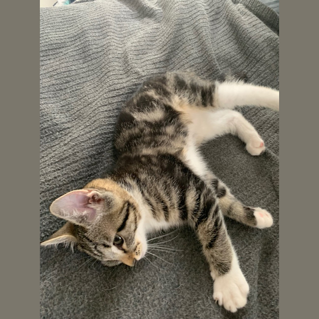 Photo of Bobbie