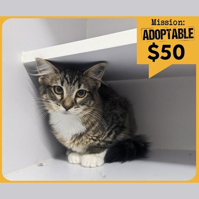 Photo of Lady Warhammer