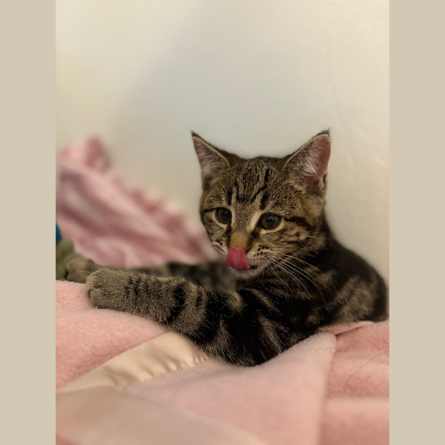 Photo of Hunter Mewell