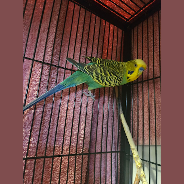 Photo of Zacariah