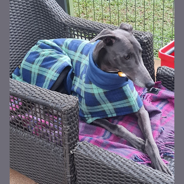 Photo of Froggy (Poppy Ed)