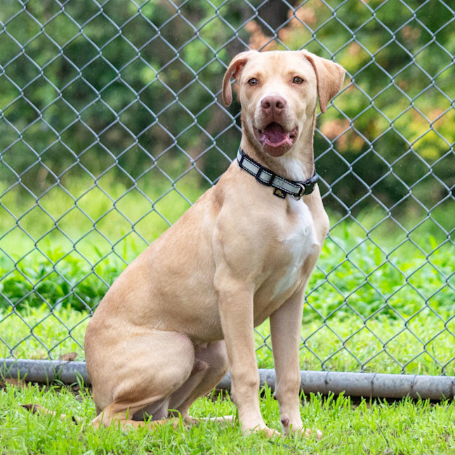 Photo of Cash