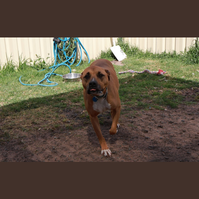 Photo of Penny