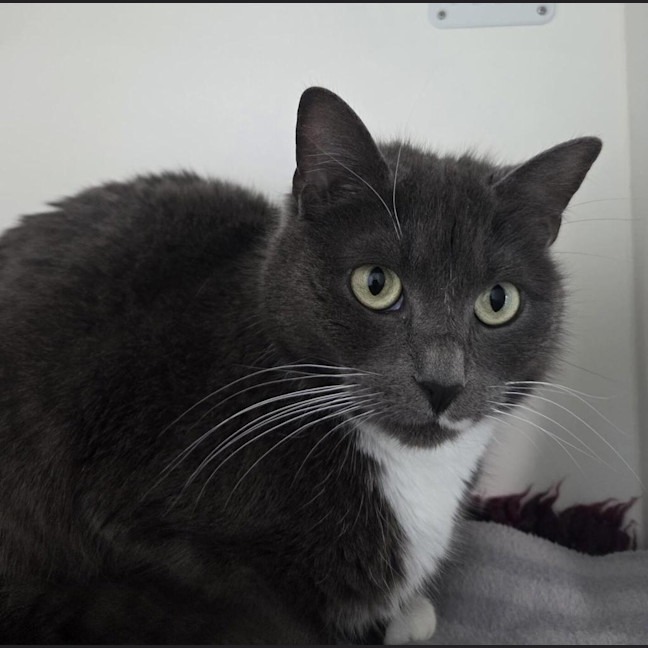 Photo of Amelie