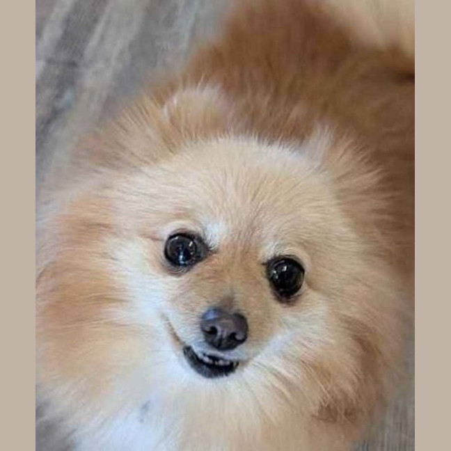 Photo of Betty