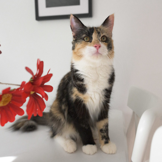Photo of Jenny 