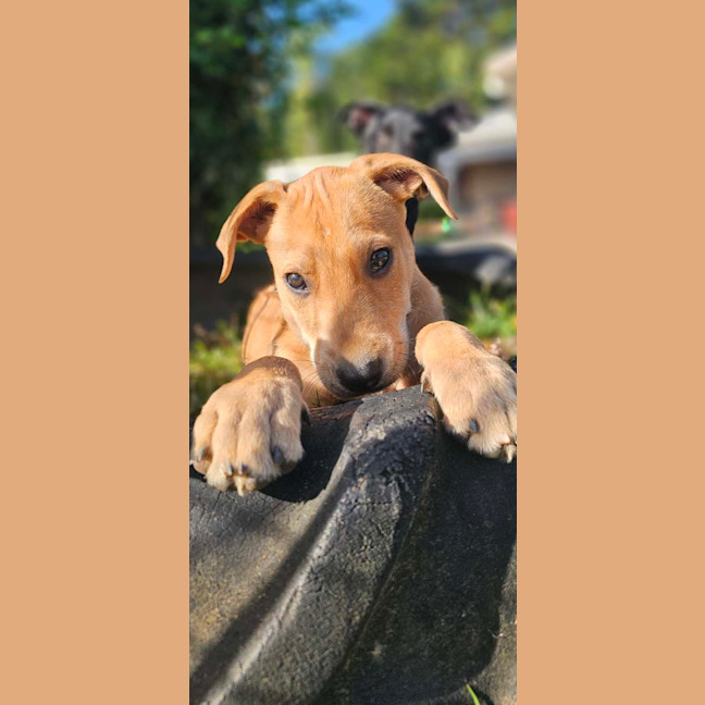 Photo of Statler