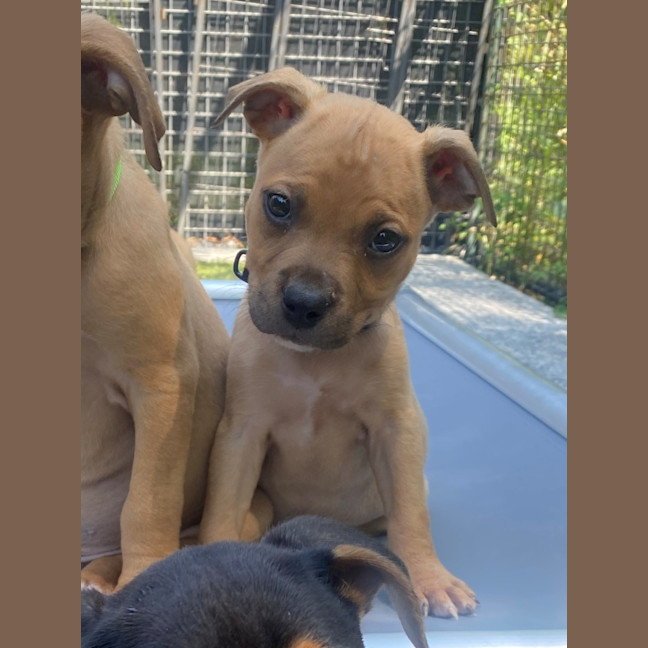 Photo of D1198 Walter