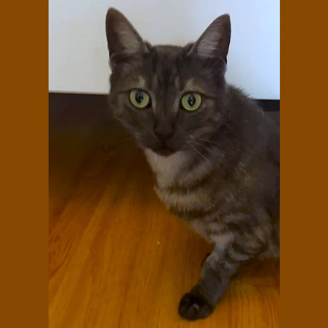 Photo of Alice