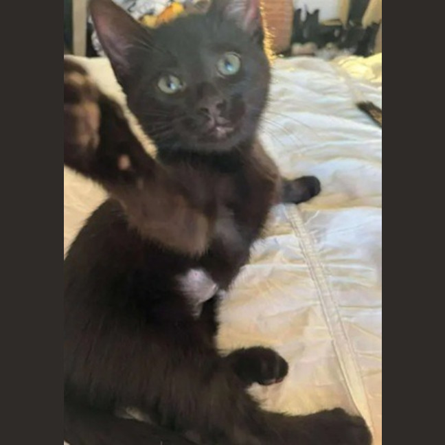 Photo of Laverne