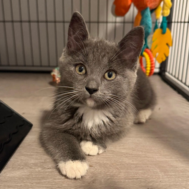 Photo of Arya 🪻💜