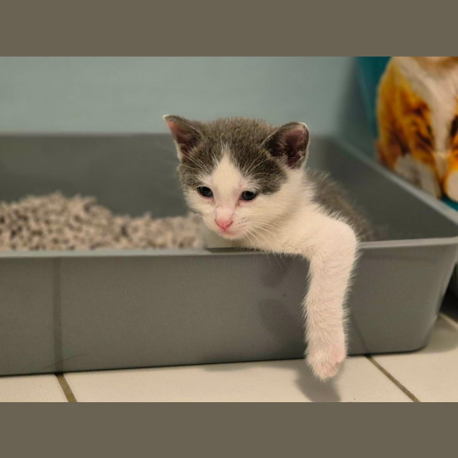 Photo of 💙 Concrete 🤍