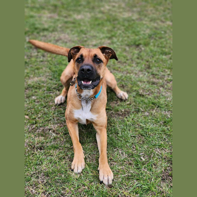 Photo of 🌹 Rose 6167 🌹