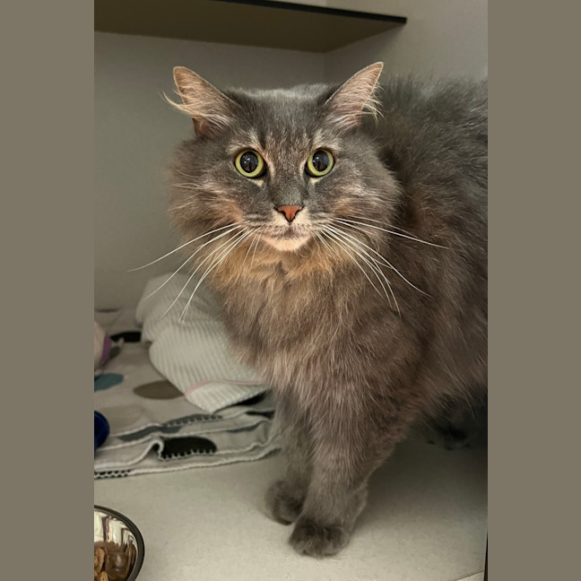 Photo of Jerry