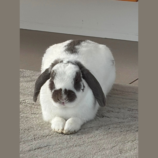 Photo of Asher