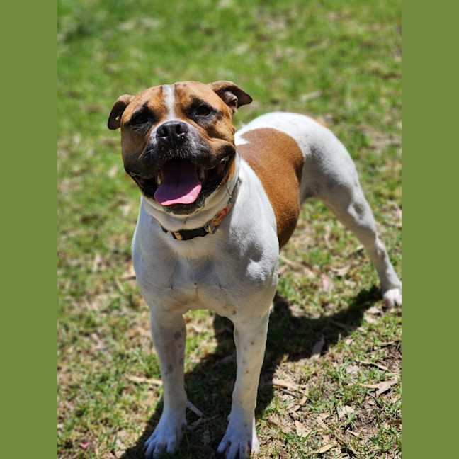 Photo of 🥯 Crumpet 5721 🥯