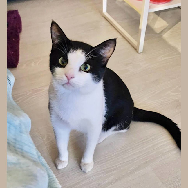 Photo of Oliver