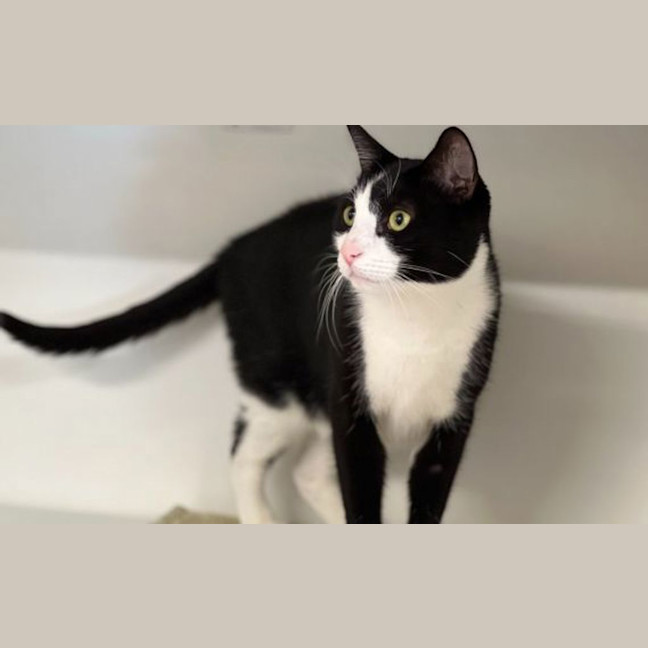 Photo of Storm 