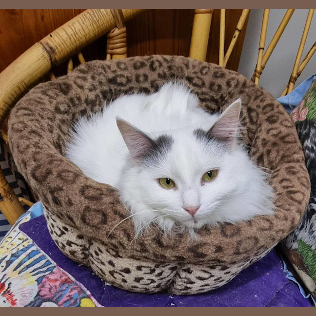 Photo of Jamilla Aka Milla