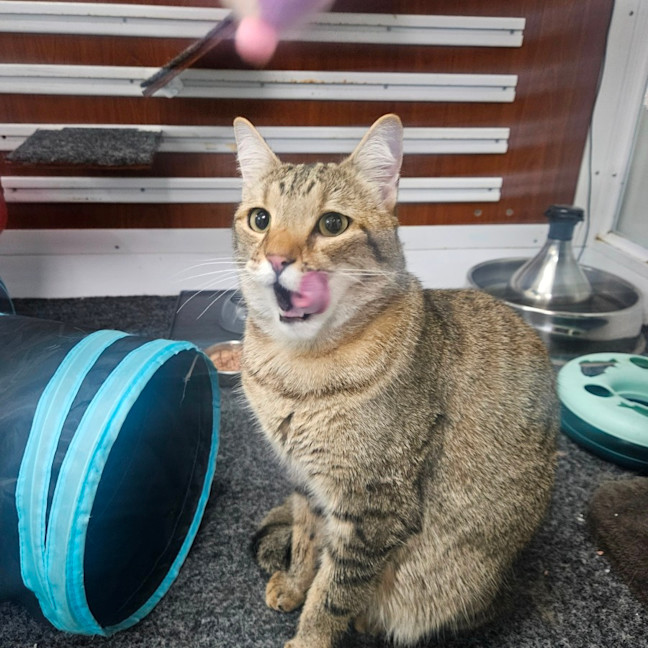 Photo of Marty