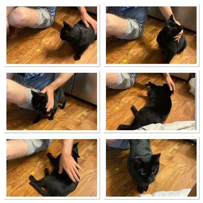 Photo of Cash And Yukon