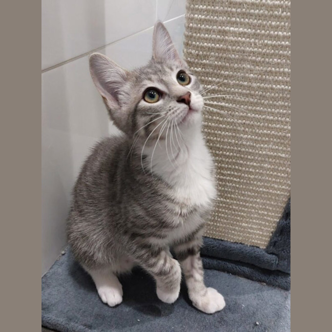 Photo of Zara And Zulu