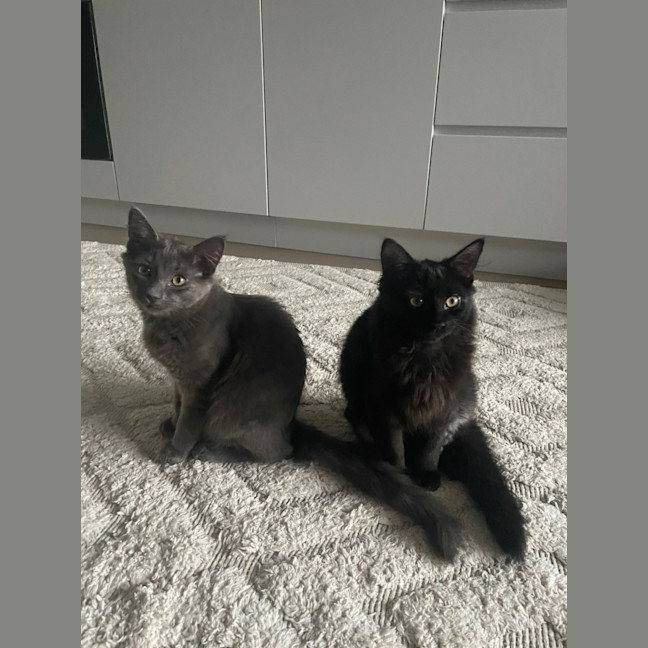 Photo of Charlie King