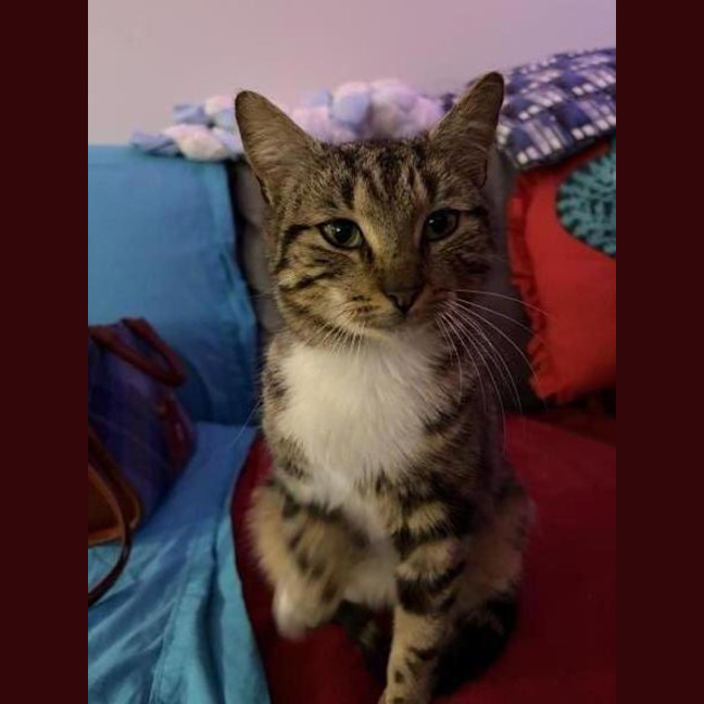 Photo of Mousie