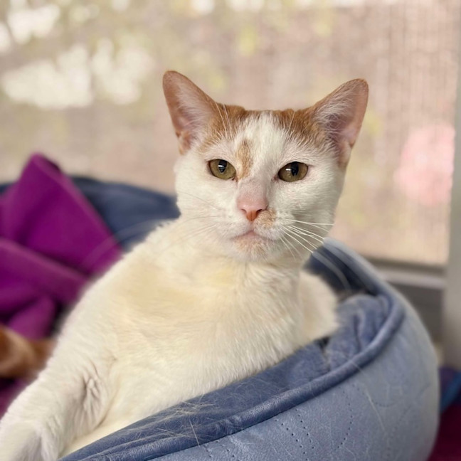Photo of Pearl