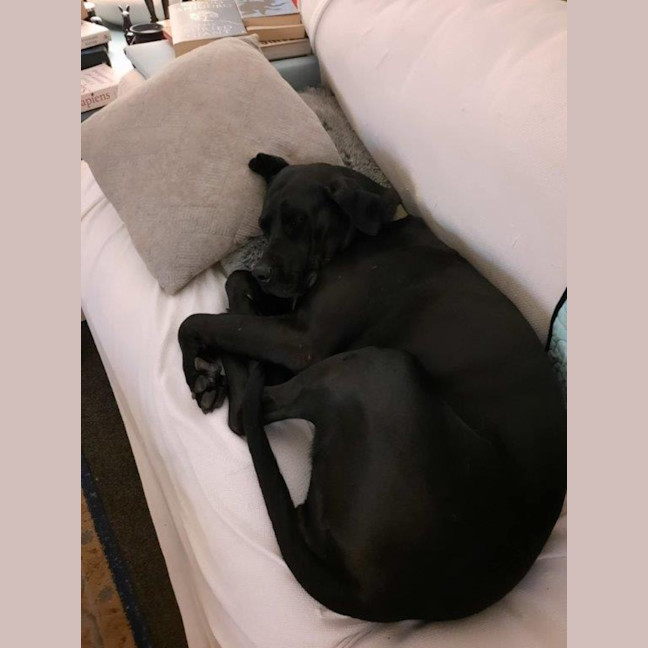 Photo of Stella Lozano