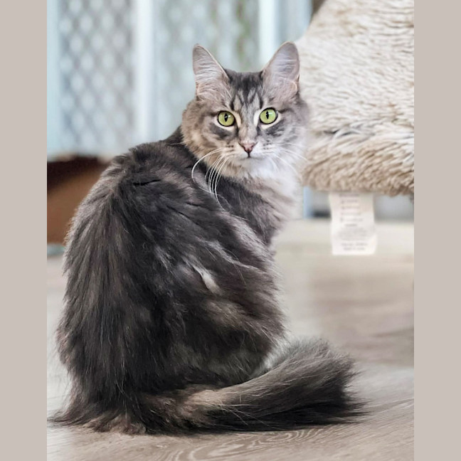 Photo of Fleur