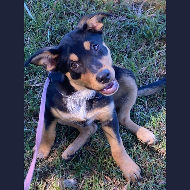 Photo of Stormy