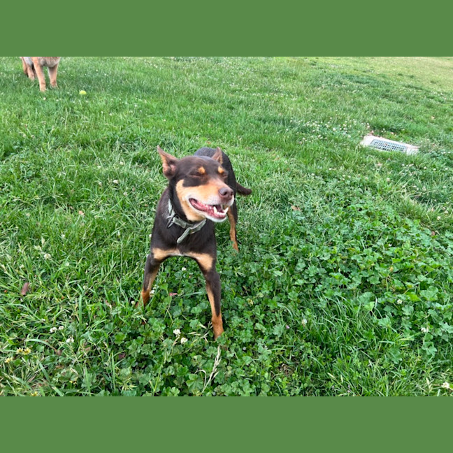 Photo of Cora