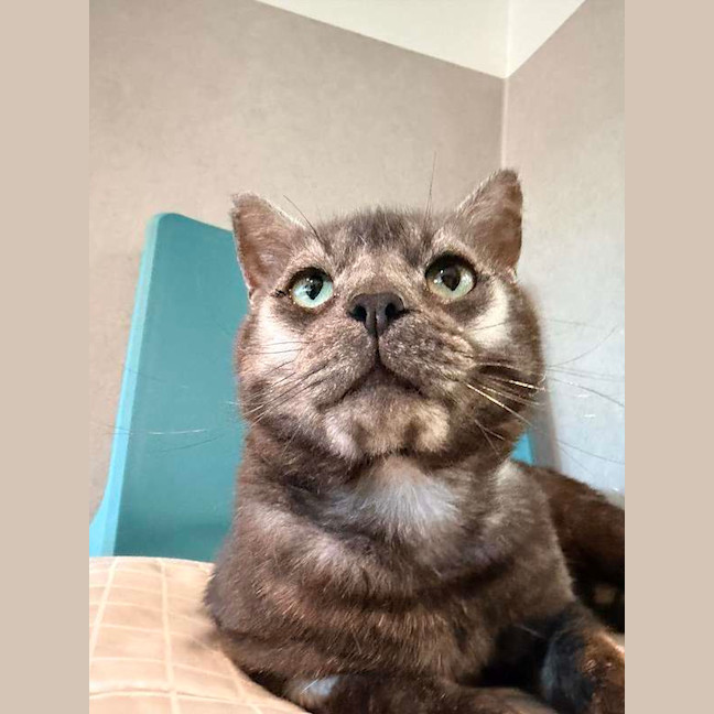 Photo of Nyx