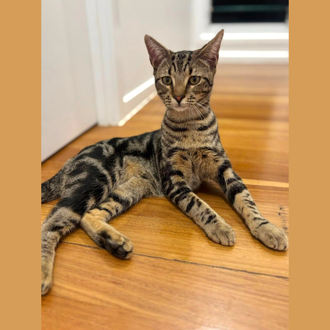 Photo of Tom