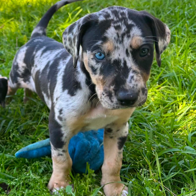 Photo of Kira