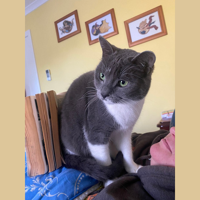 Photo of Lulu