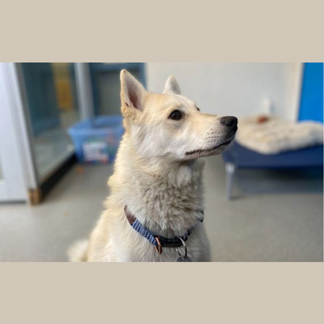 Photo of Tia