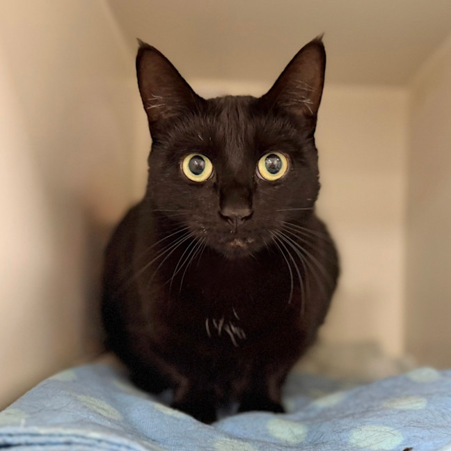 Photo of Storm