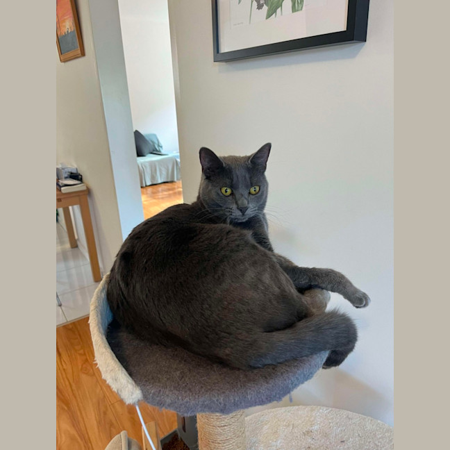 Photo of Hope & Oreo