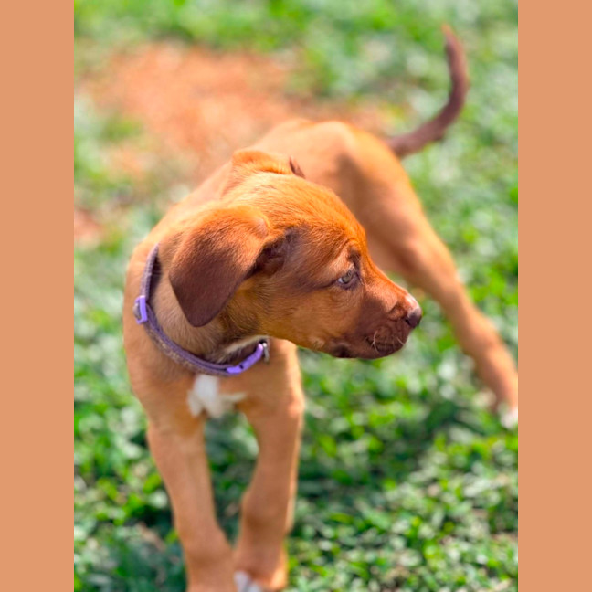 Photo of Maizie