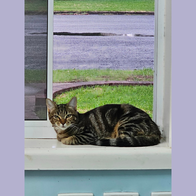 Photo of Thelma & Louise